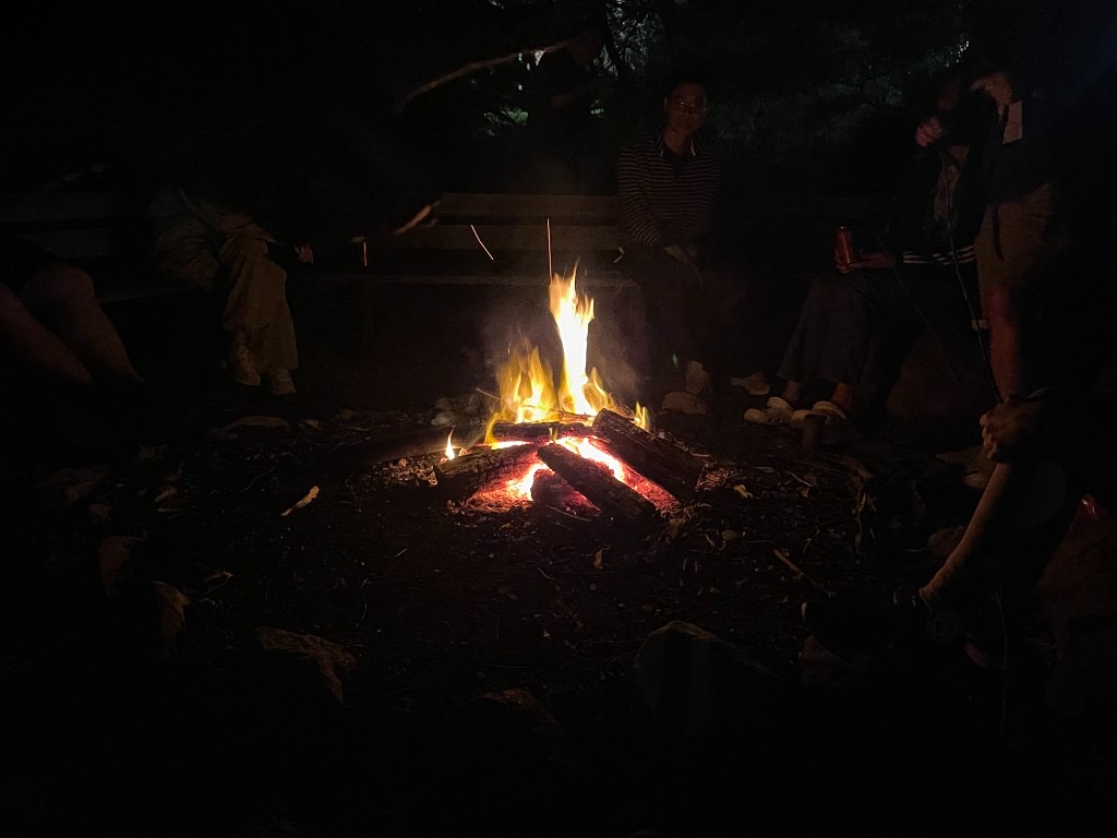 Campfire gathering at night